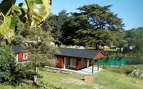 Cabañas los Plátanos